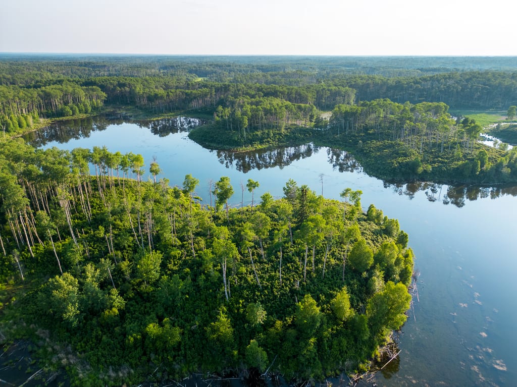 Moose Pasture, AB (Sean Feagan/NCC)