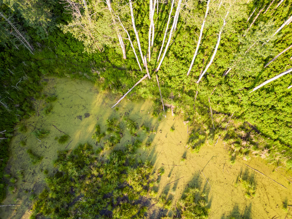Moose Pasture, AB (Sean Feagan)