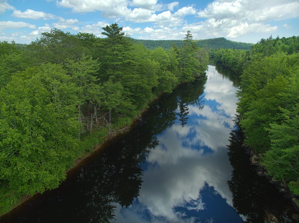 A river flows through a lush green forest, reflecting the cloudy sky.
