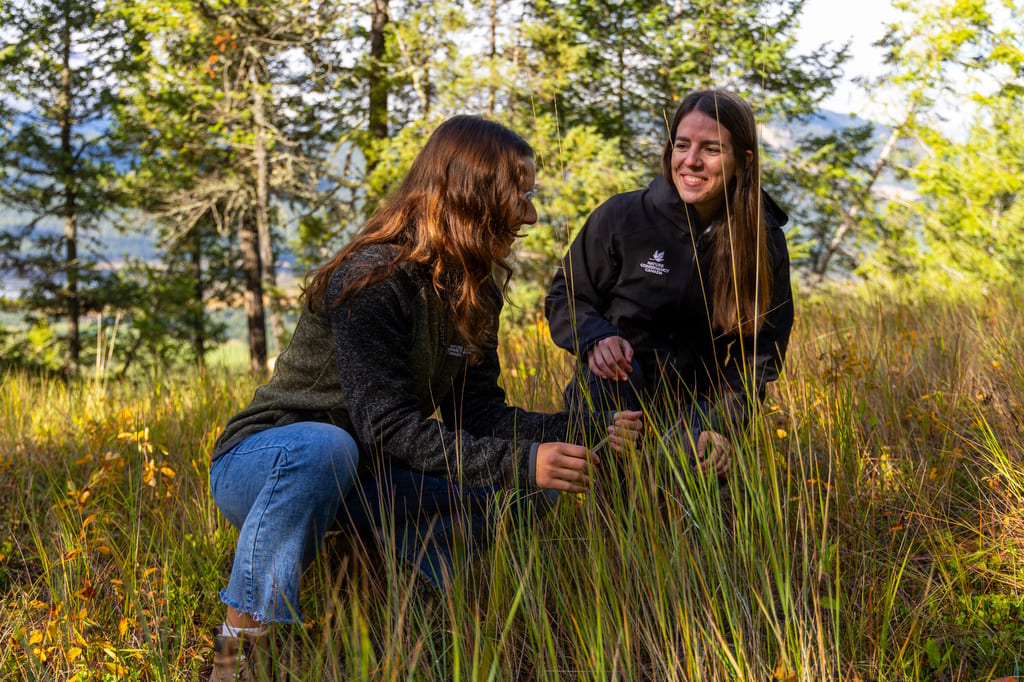 Two women crouch in a field of tall grass near a forest.