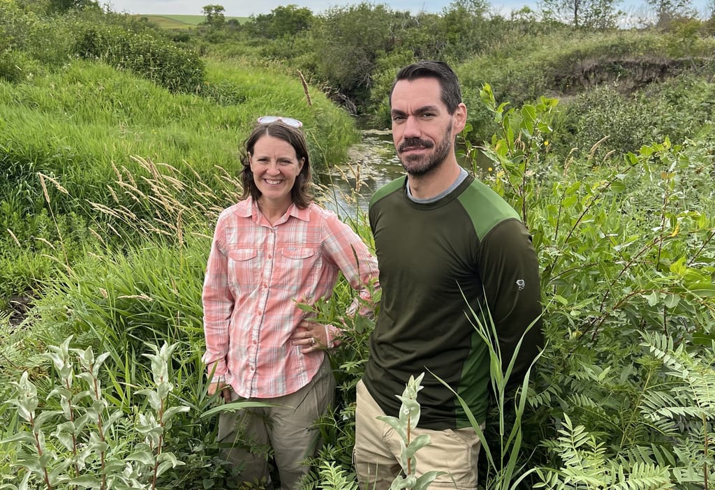 A man and a woman stand in tall green vegetation near a small stream.