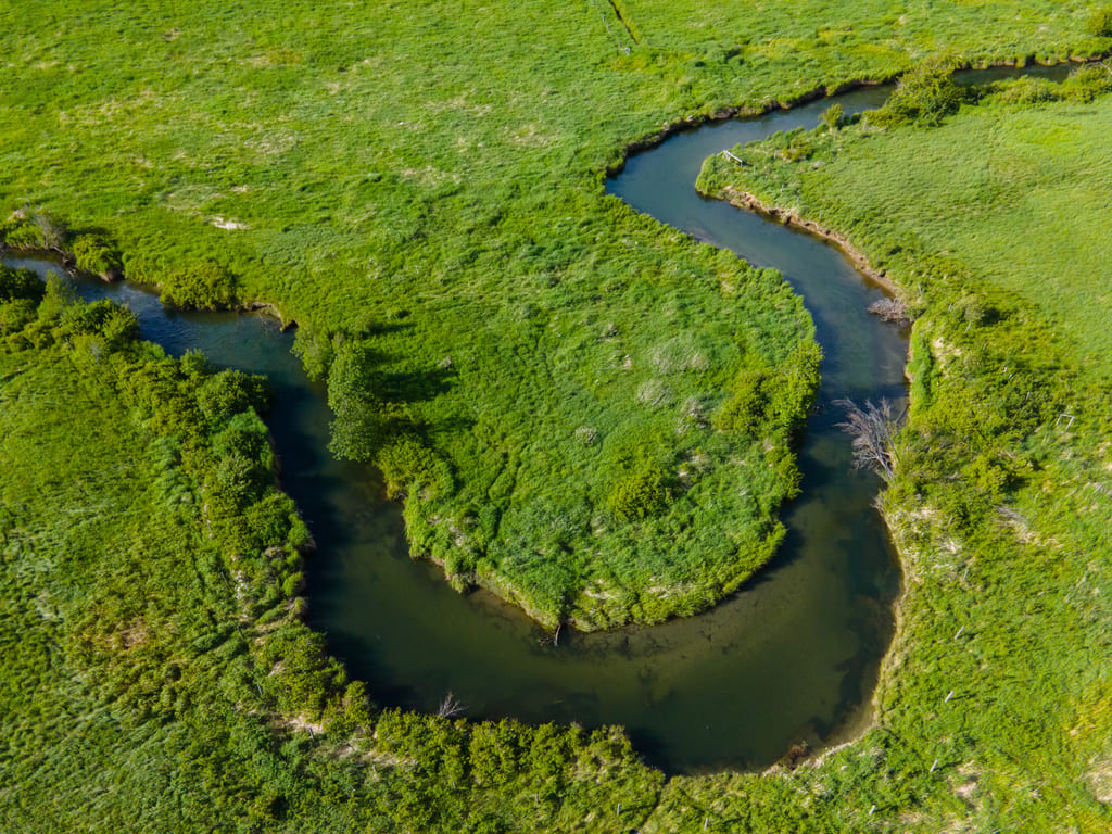 A winding stream meanders through a lush green meadow.