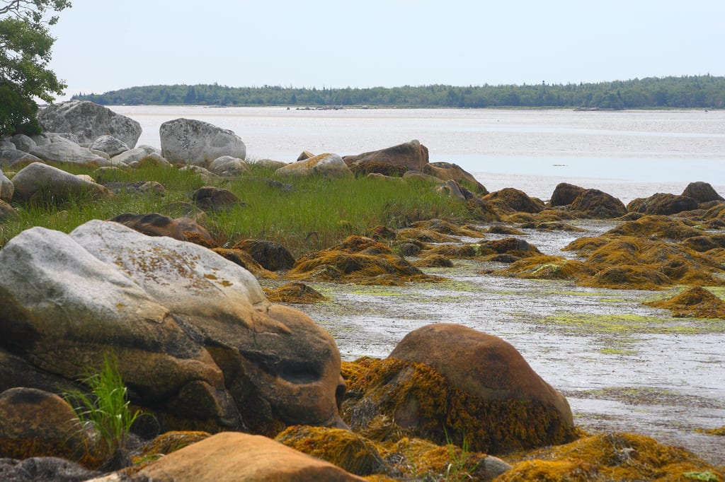 Large rocks and seaweed line the shore at low tide.