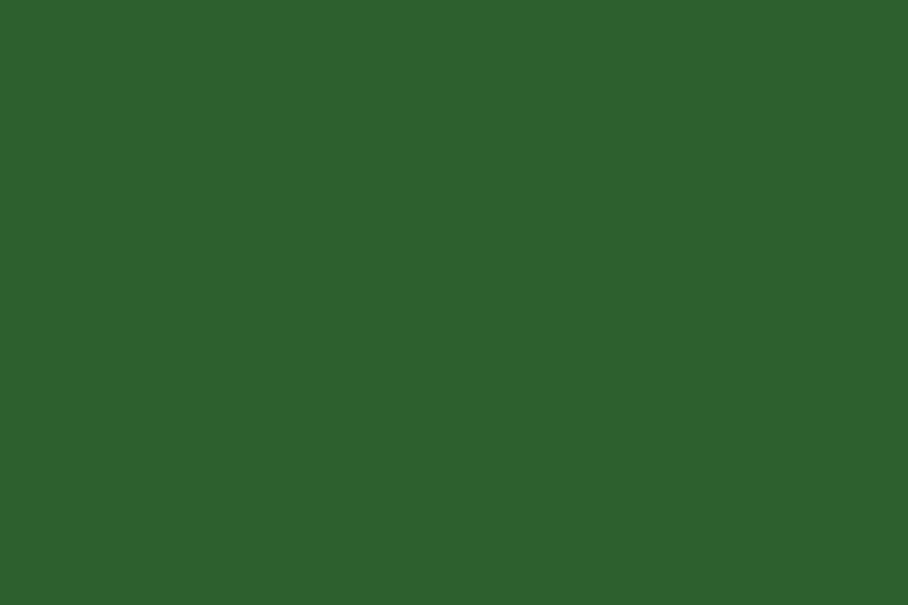 A solid green background.