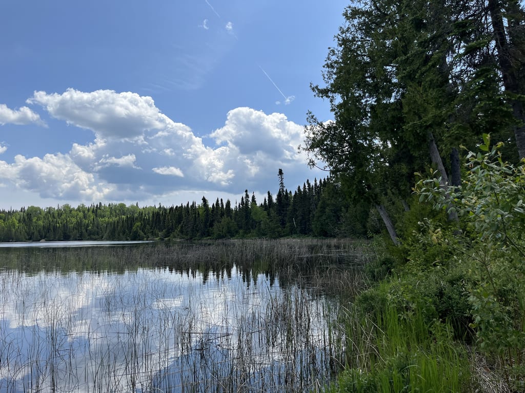 A calm lake reflects the blue sky and white clouds, surrounded by a dense forest and shoreline vegetation.