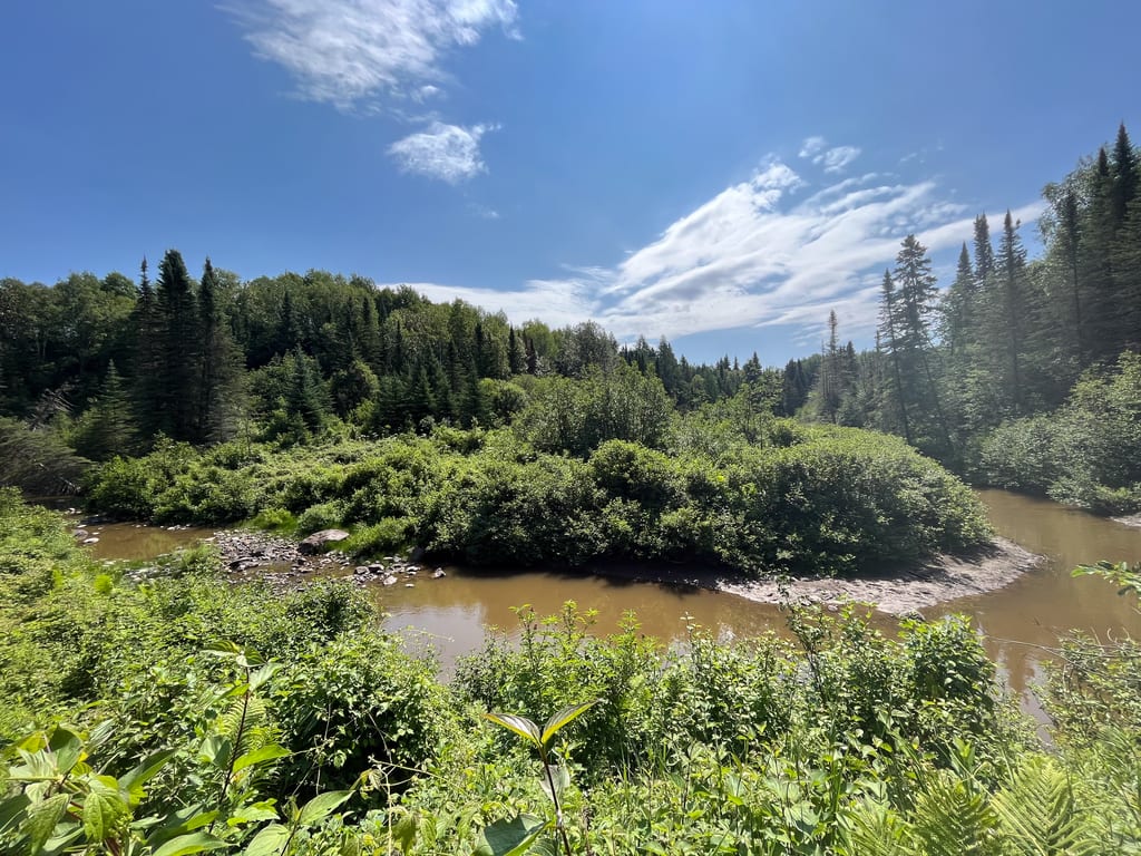 A muddy river flows through lush green bushes and trees under a blue sky.