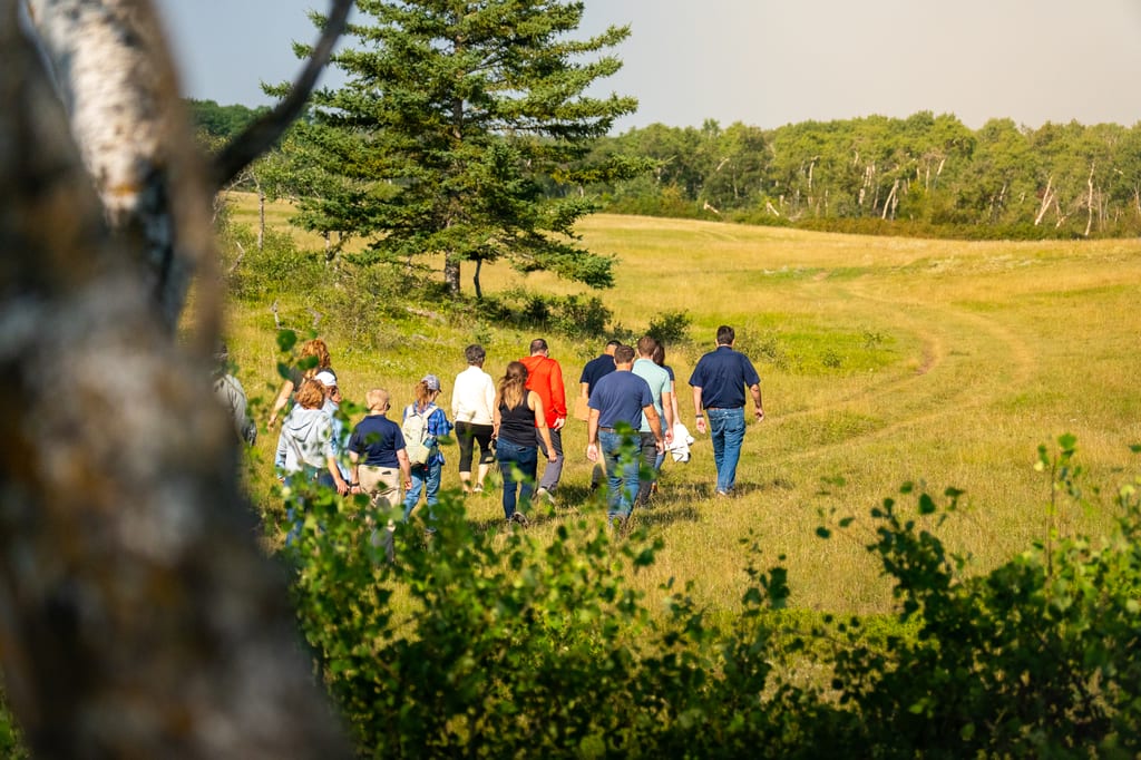 A group of people walks through a grassy field towards a line of trees.