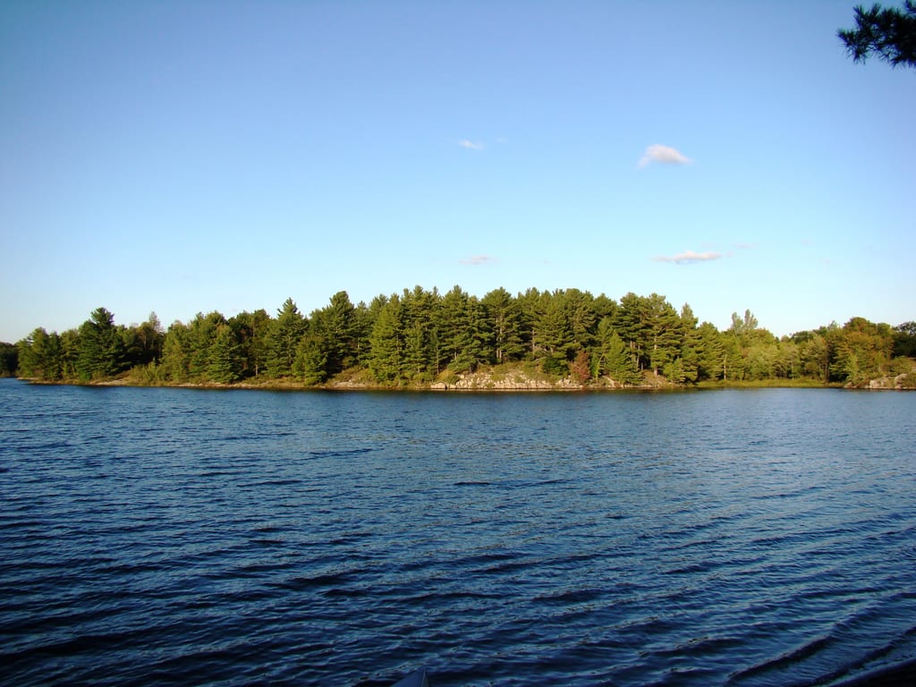 A dense coniferous forest lines the shore of a calm blue lake under a clear sky.