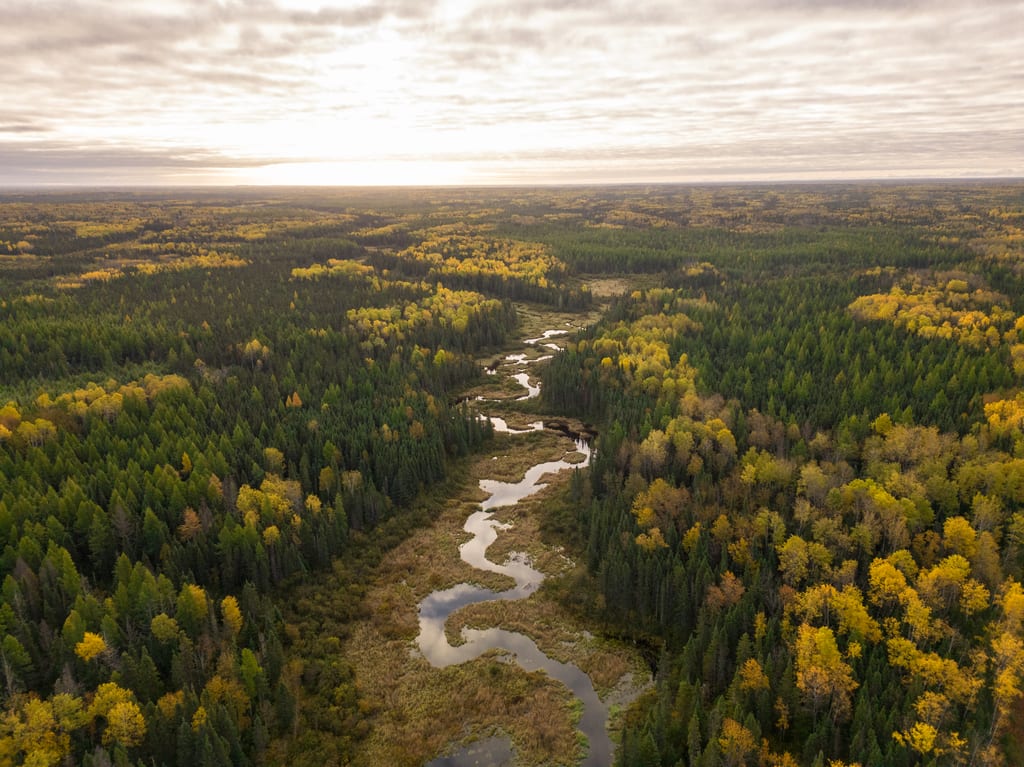 An aerial view of a winding river flowing through a forest with autumn foliage.