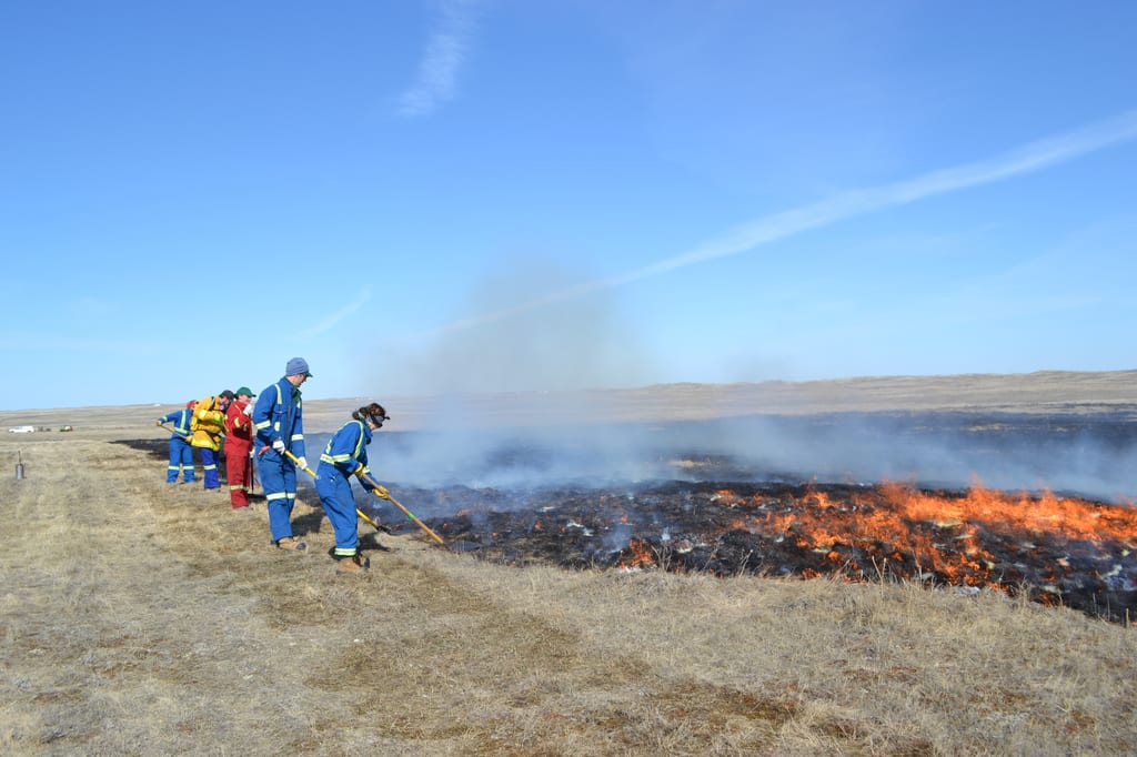 Wildland firefighters work to control a fire in a dry, grassy landscape under a clear blue sky.