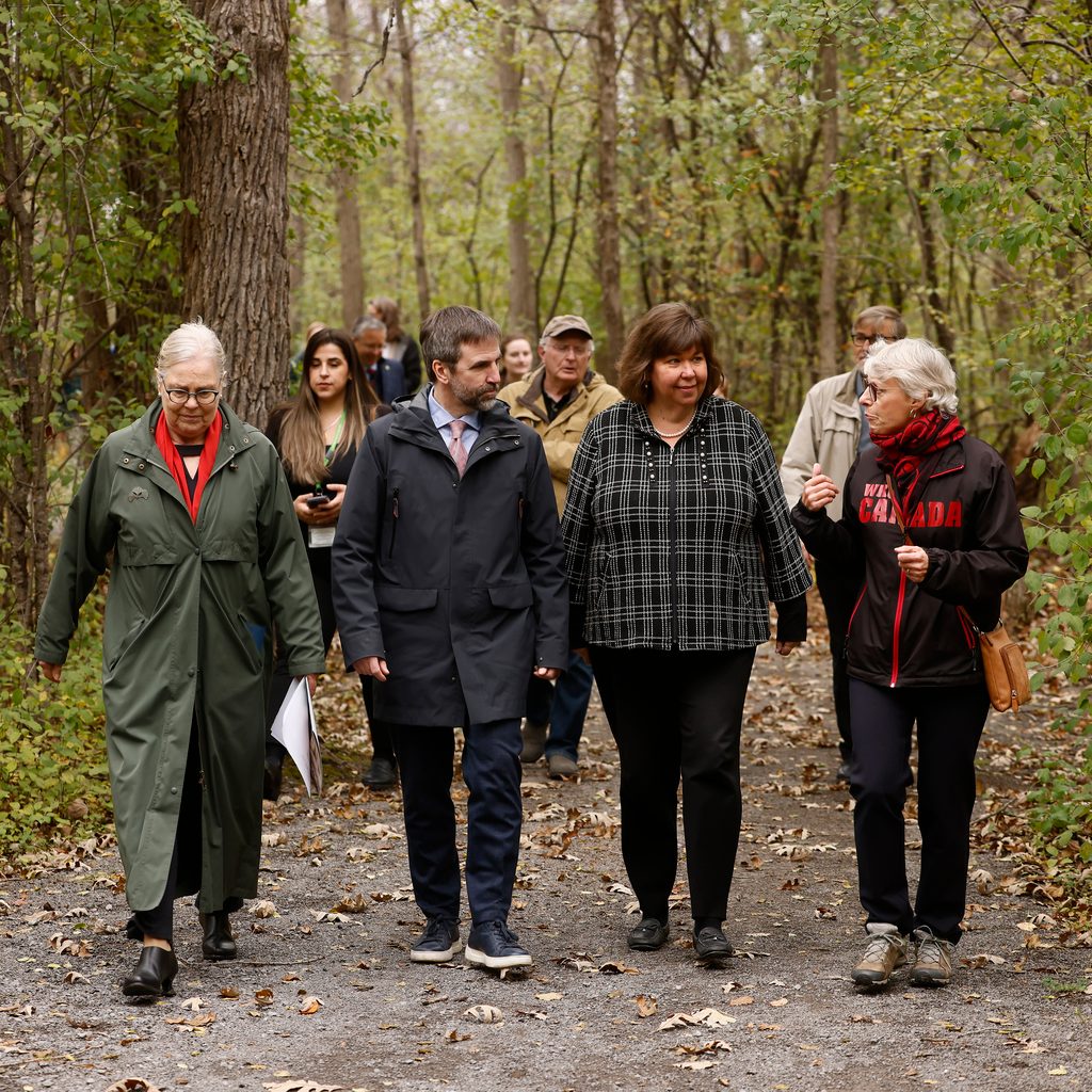 A group of people walks along a leaf-strewn path in a forest during autumn.
