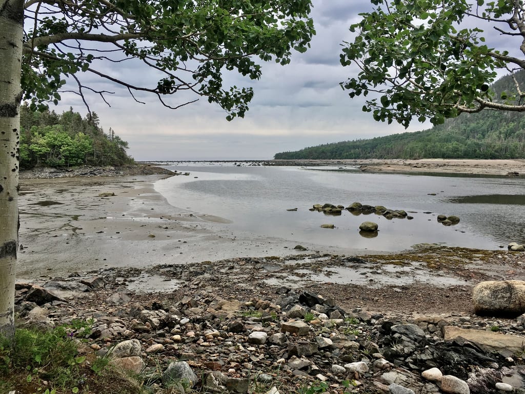 A muddy shoreline and river under a cloudy sky.