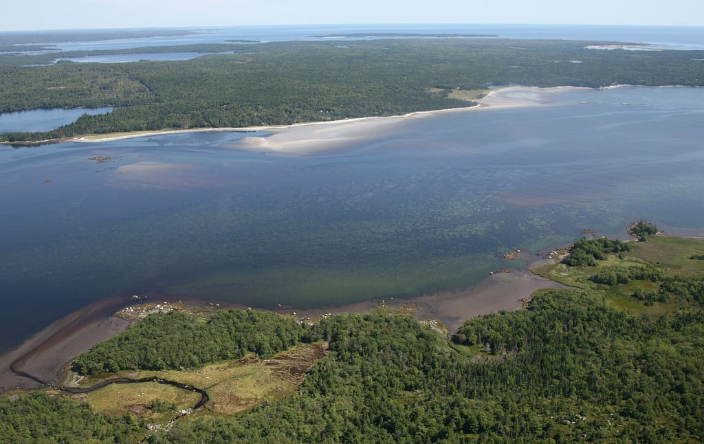 An aerial view of a forested coastline with sandy beaches and calm water.