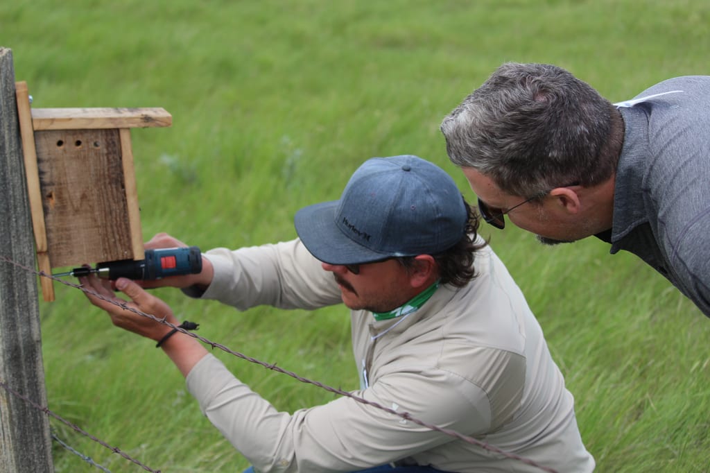 Two men install a wooden birdhouse on a post in a grassy field.