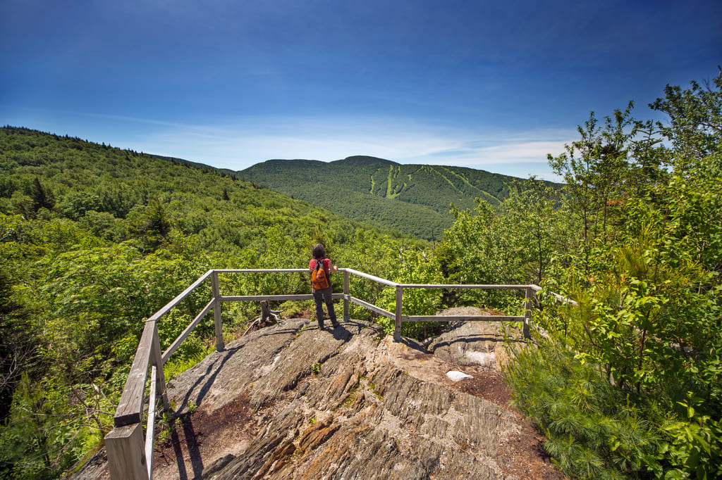 A person with an orange backpack stands on a rocky lookout overlooking a lush green forest and mountains.