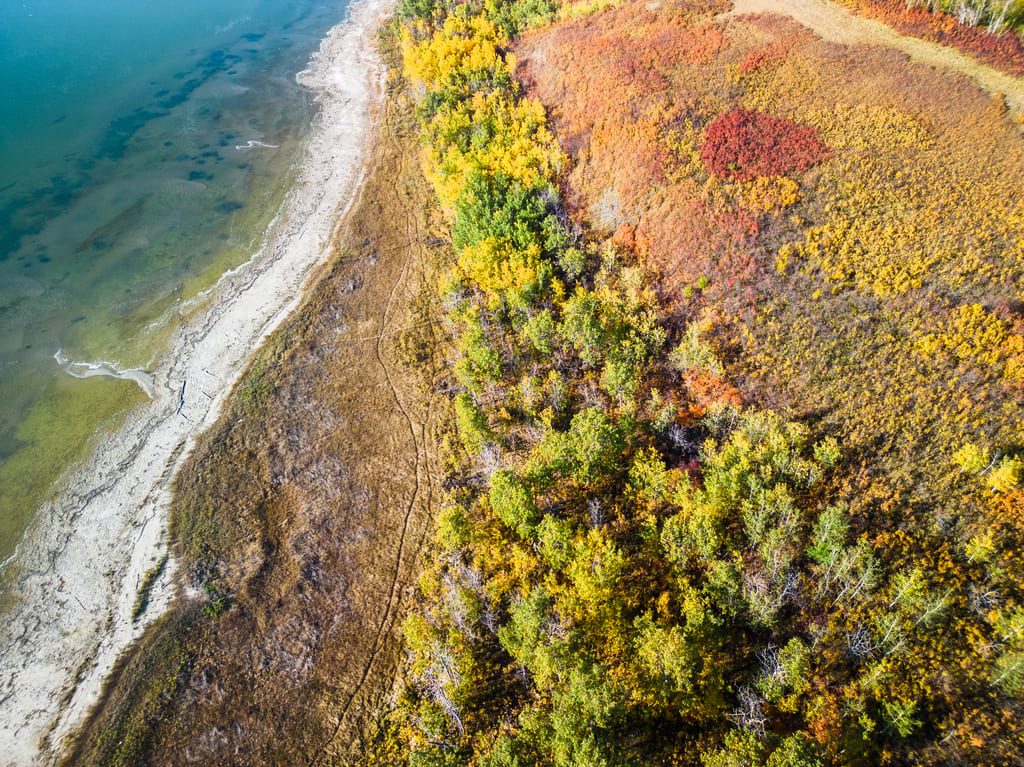 An aerial view of a shoreline with colorful autumn foliage and a body of water.