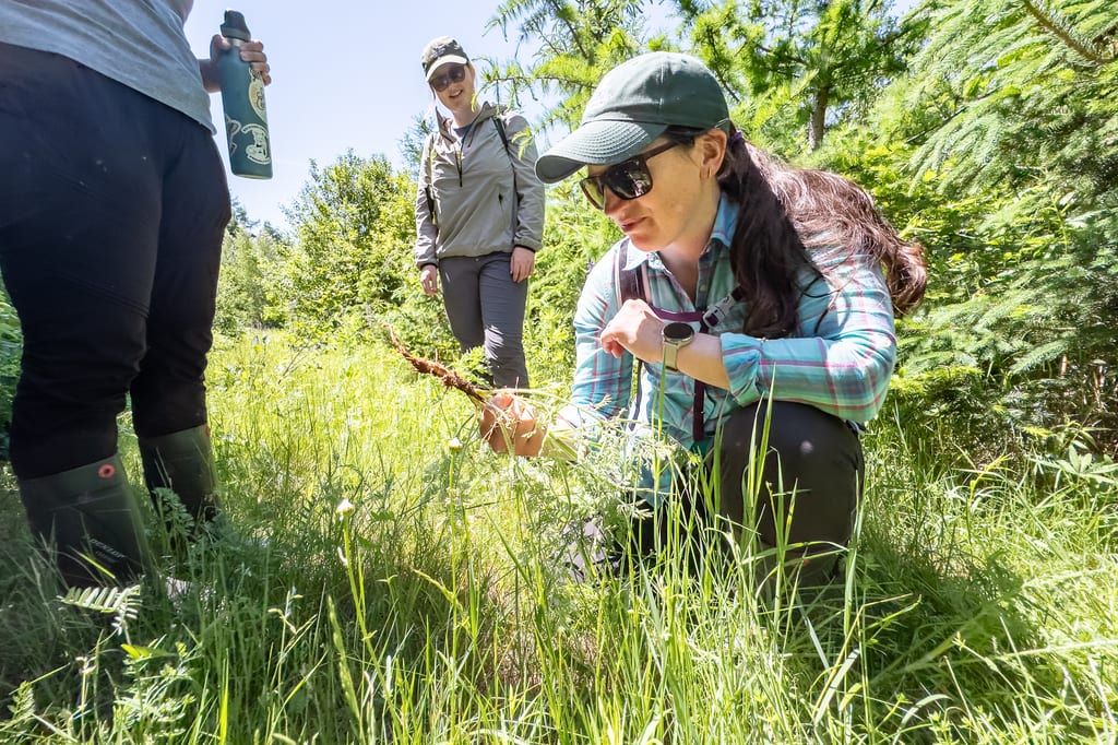 Two women observe plants in a sunny, grassy meadow surrounded by trees.