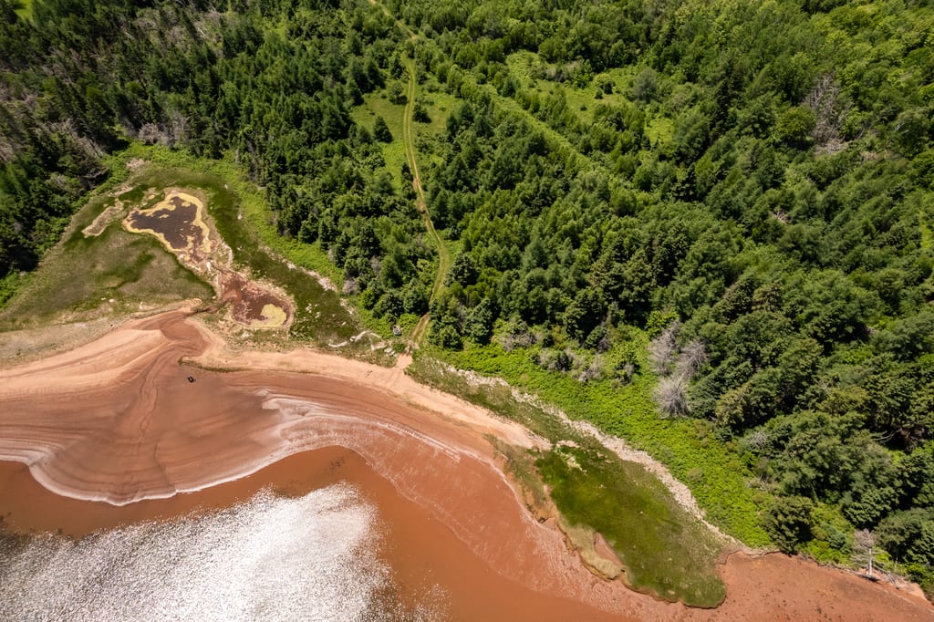An aerial view of a reddish coastline with a small pond and a dense green forest.