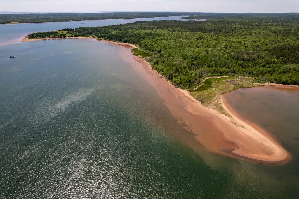 An aerial view of a sandy spit bordering a lush green forest and calm water.