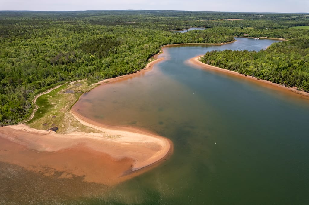 An aerial view of a winding river flowing through a dense green forest with reddish sandy banks.