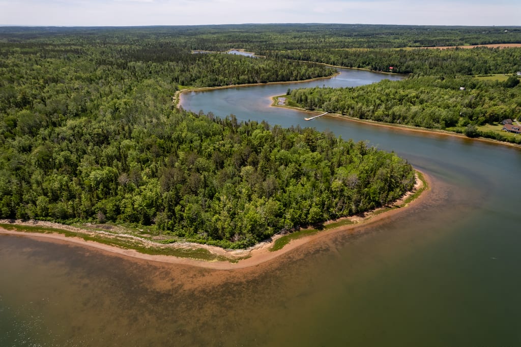 An aerial view of a winding river flowing through a dense green forest.
