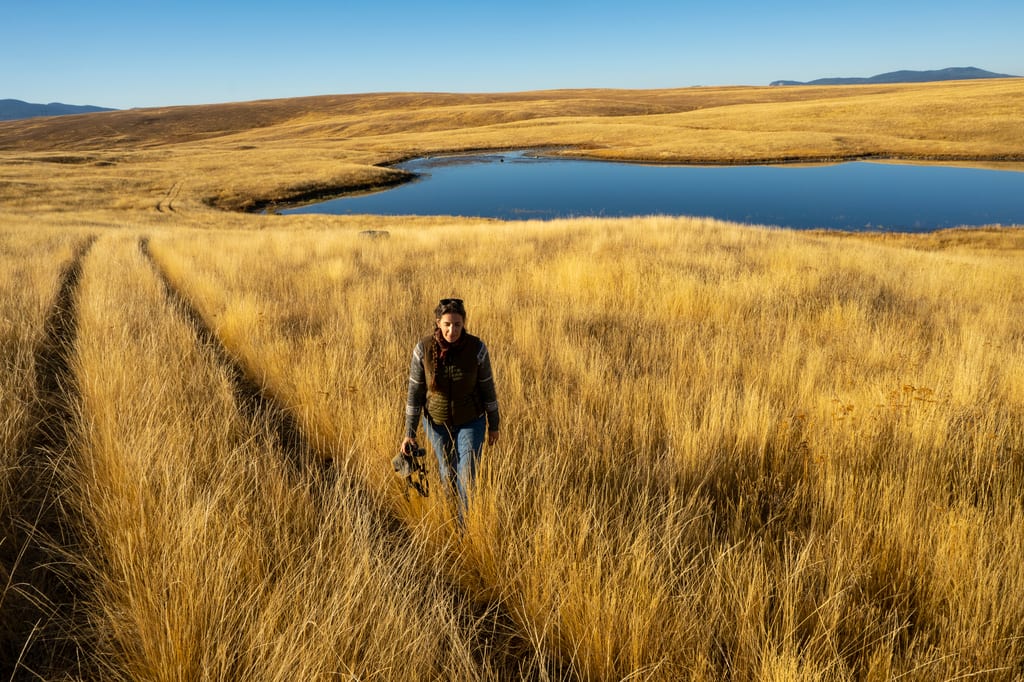 A woman walks through tall golden grass near a lake in a hilly landscape.