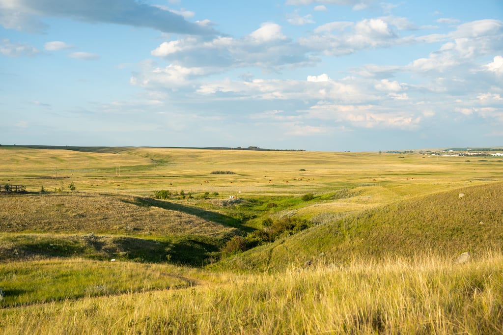 Rolling green and golden hills under a blue sky with white clouds in a prairie landscape.