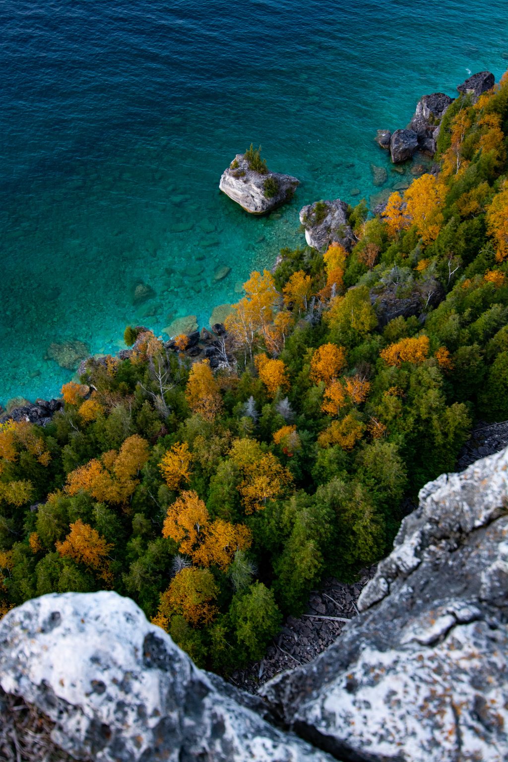 A view from a rocky cliff overlooking a turquoise coastline with autumn foliage.