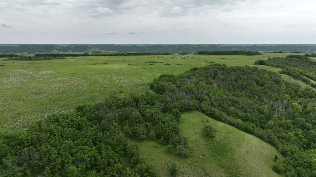 A wide view of green rolling hills with patches of forest and grassland under a cloudy sky.