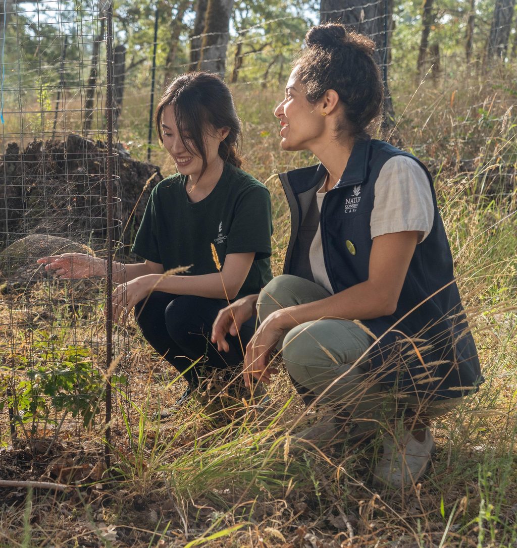Two NCC staff members crouch near a wire fence in a grassy, wooded area.