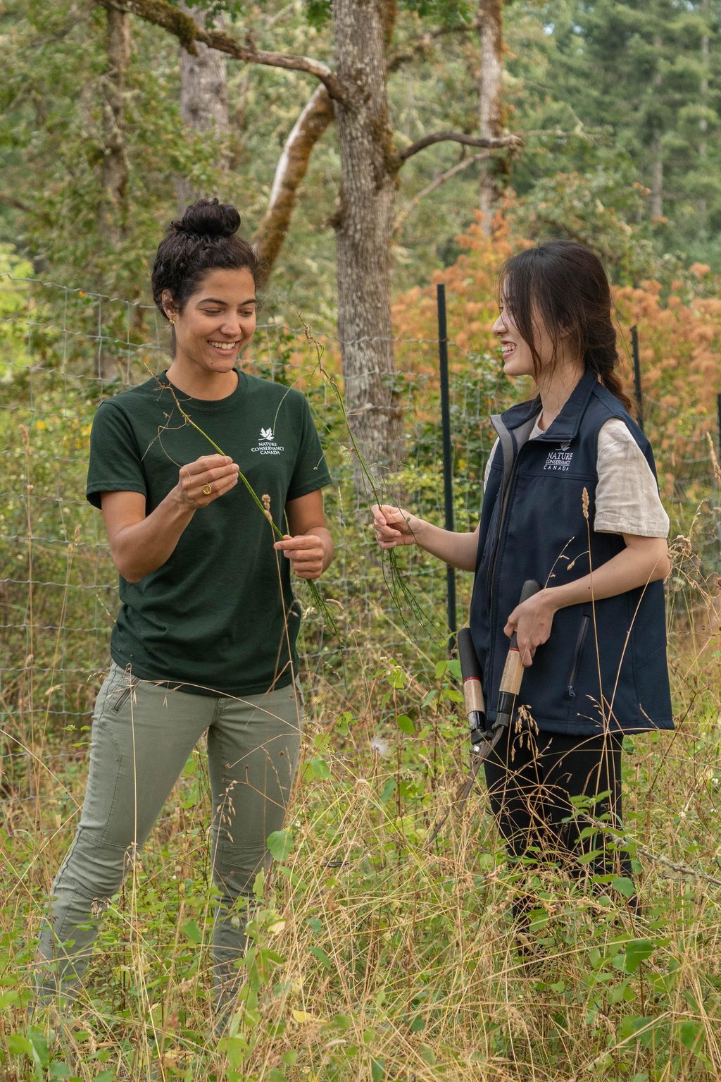 Two NCC staff members in conservation clothing examine plants in a meadow near a forest.