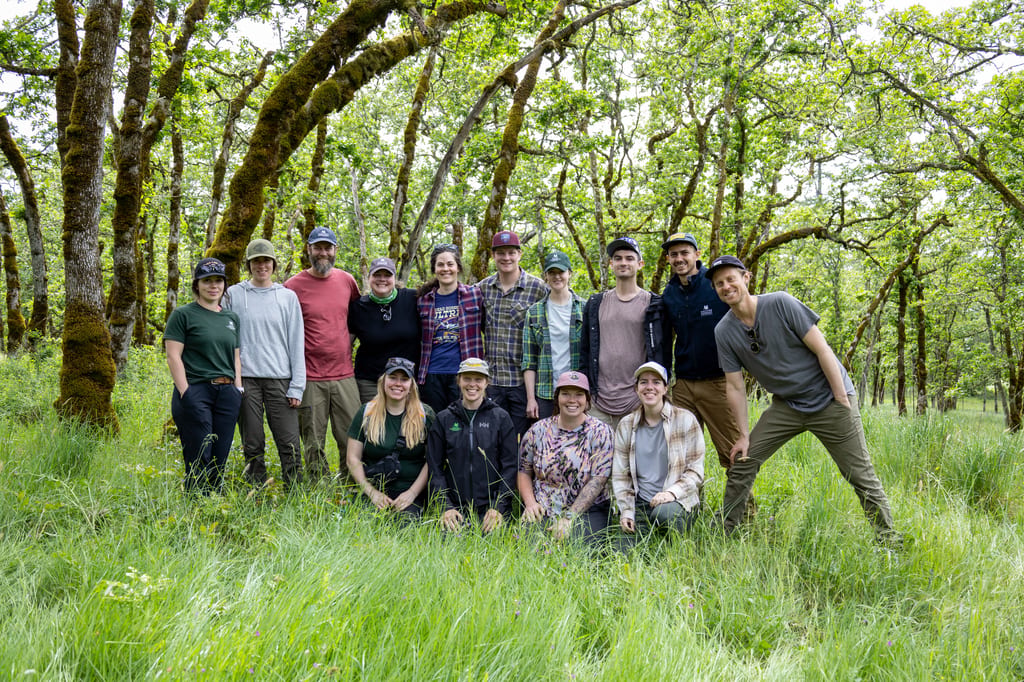NCC staff members posing for a photo in a grassy woodland area.