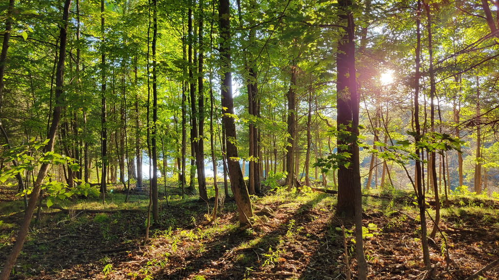 Blue Lake, ON (Rob McRae/NCC)