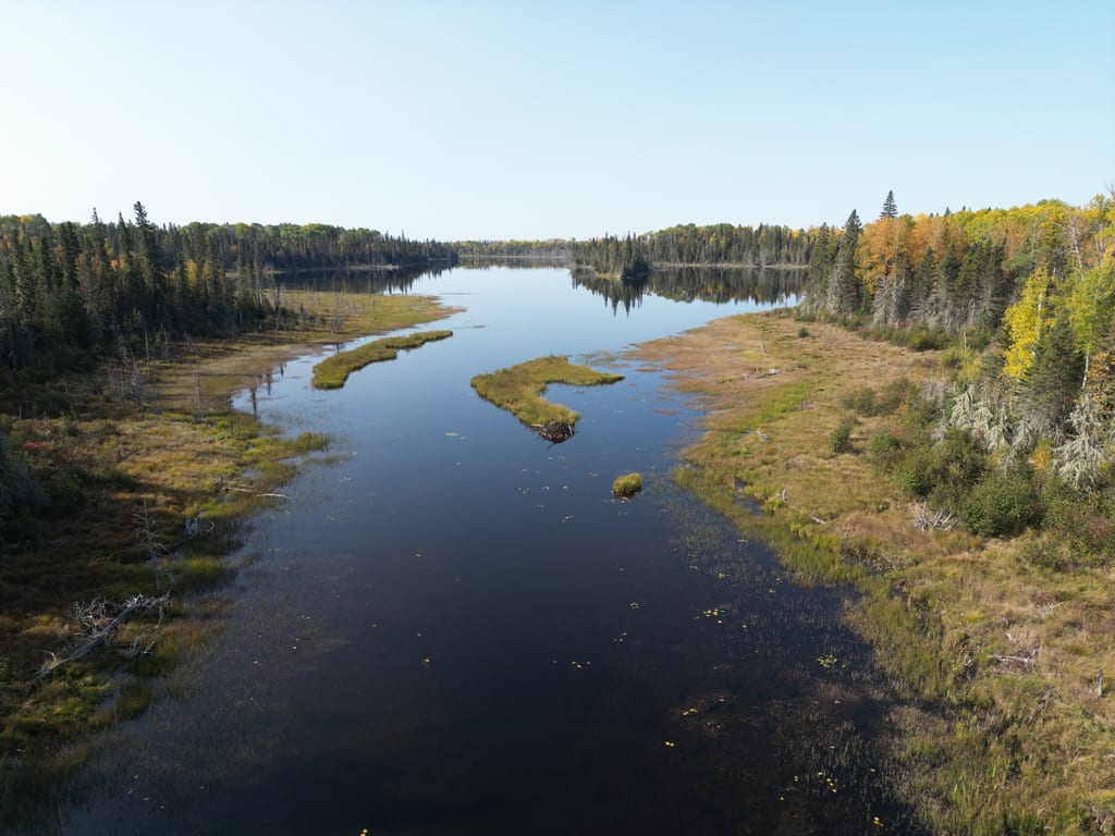 A calm river winds through a wetland surrounded by a forest with autumn foliage.