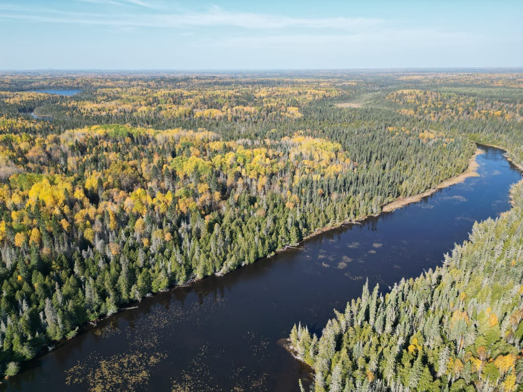 An aerial view of a river winding through a forest with autumn foliage.