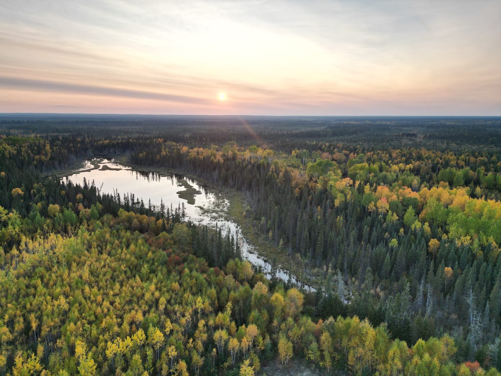 An aerial view of a forest with autumn colors surrounding a small lake at sunset.