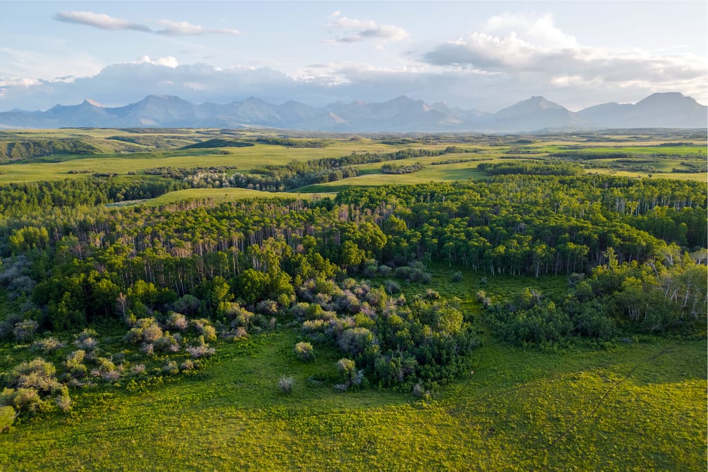 A wide landscape of rolling green hills, forests, and distant mountains under a cloudy sky.