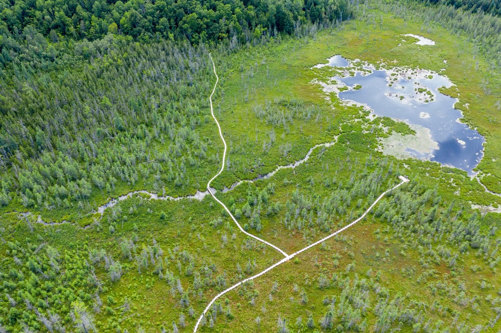 An aerial view of a wetland with a small pond and a winding path through green vegetation and forest.