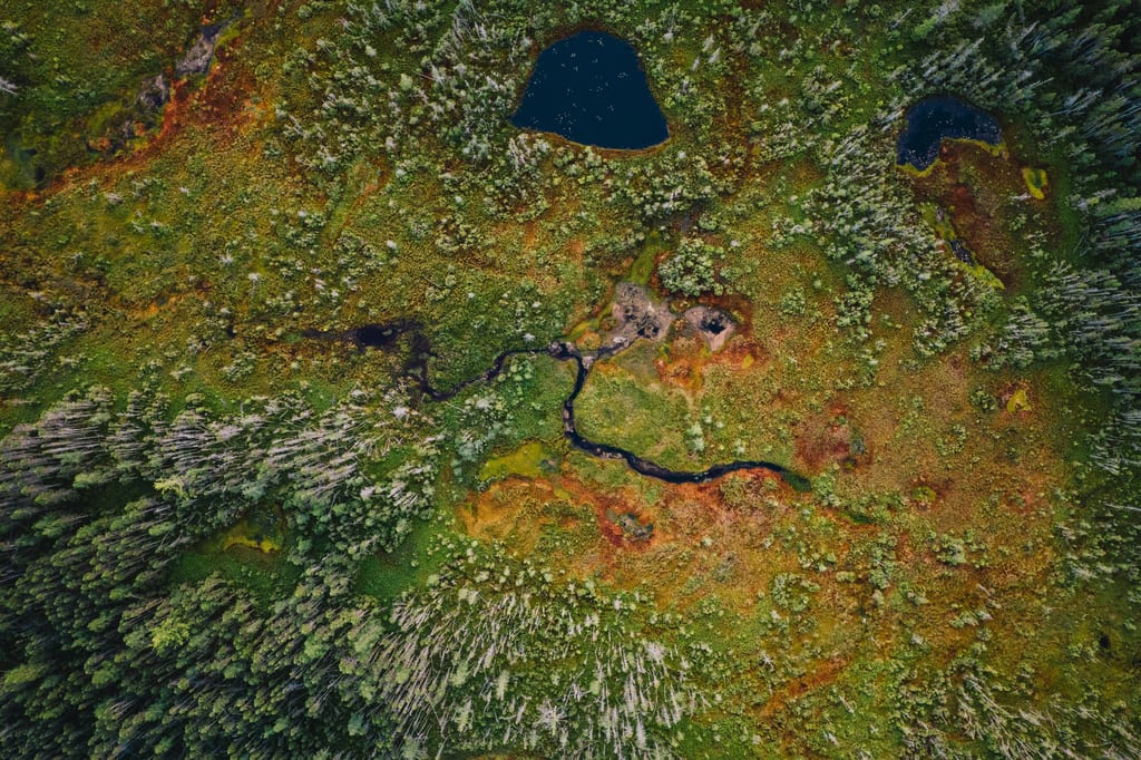 An aerial view shows a wetland landscape with small ponds, a winding stream, and coniferous forest in autumn.
