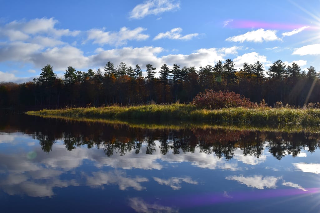 Trees and autumn foliage are reflected in the calm water of a lake under a cloudy sky.