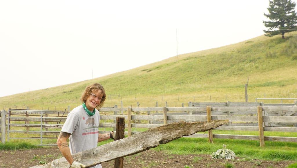 CV volunteer Chad carrying wood - CVAB150829 - Homesite Clean Up CV event - Waldron Southern Foothills - Alberta