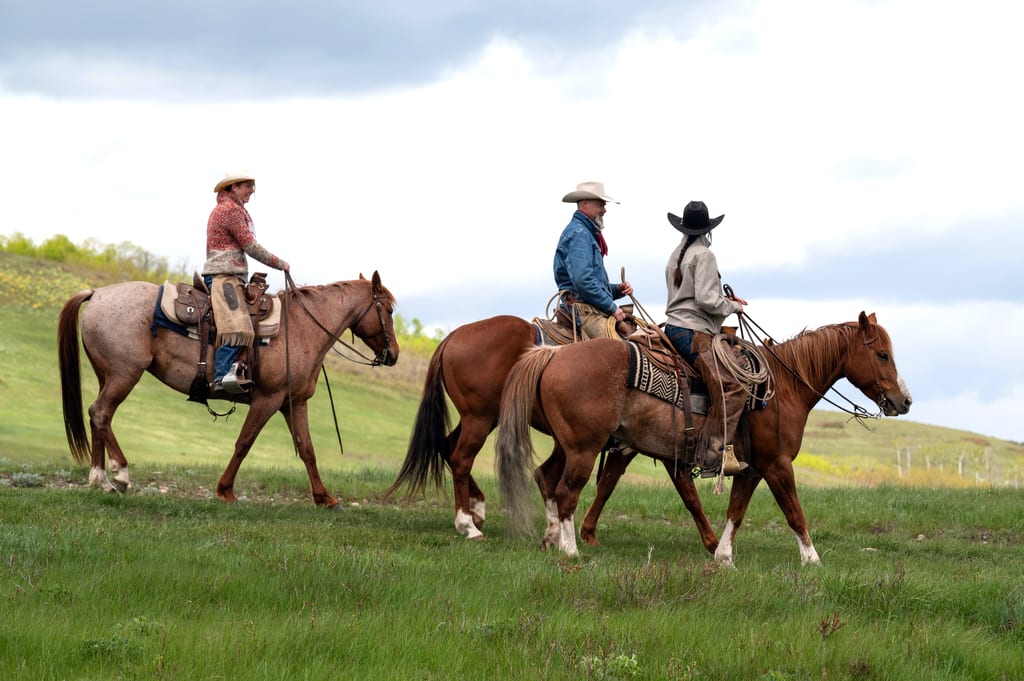 Three people riding horses through a green meadow under a cloudy sky.