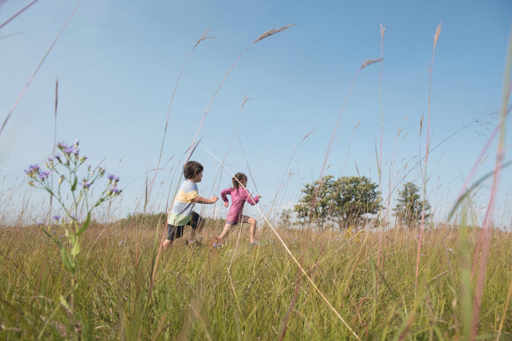 Two children run through a meadow of tall grass under a clear sky.