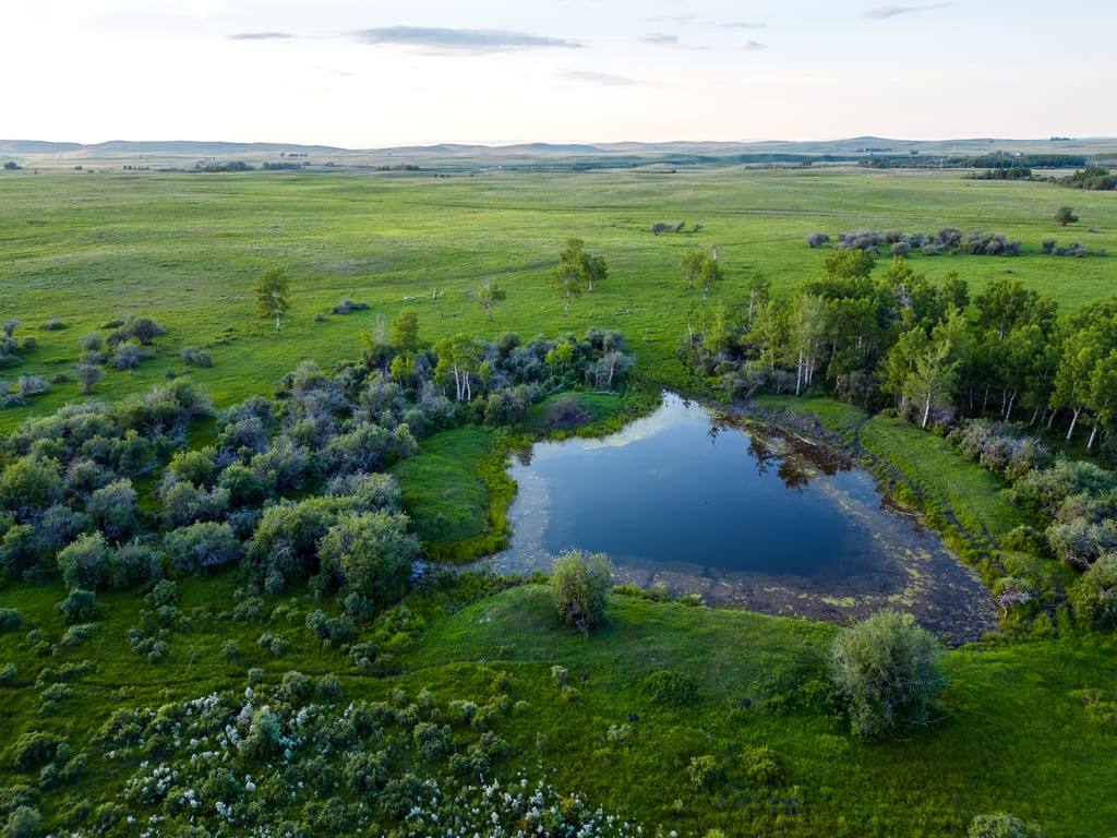 An aerial view of a small pond surrounded by green shrubs and trees in a vast grassy prairie.