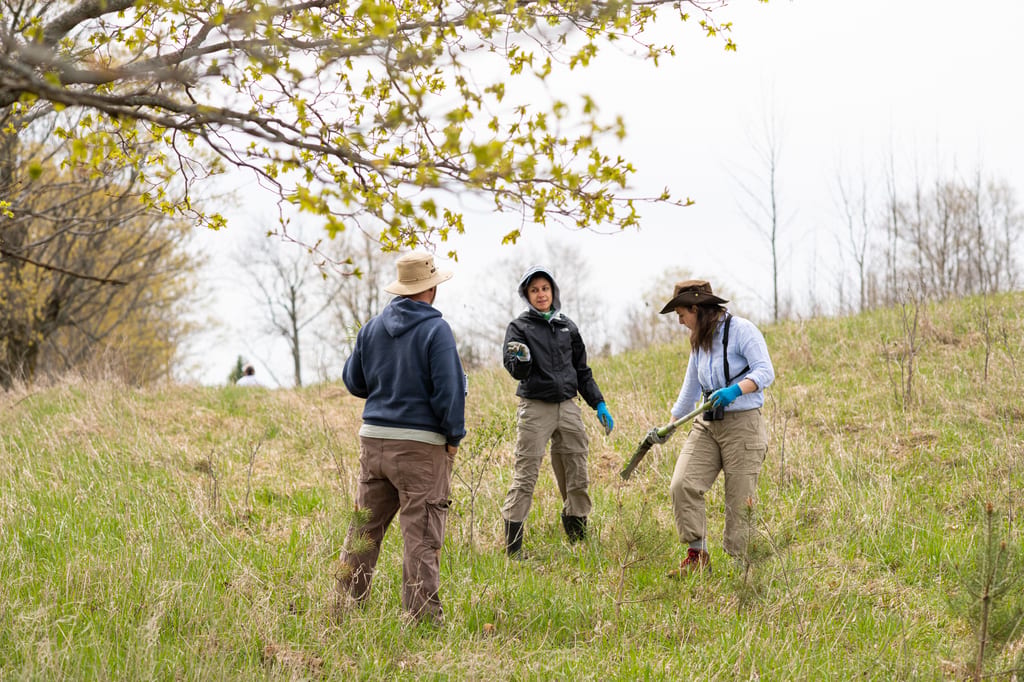 Three people in outdoor gear work in a grassy meadow during spring.