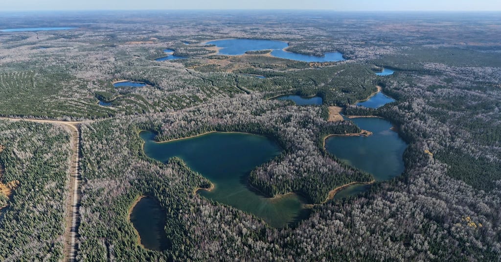 Boreal Wildlands (Photo NCC)