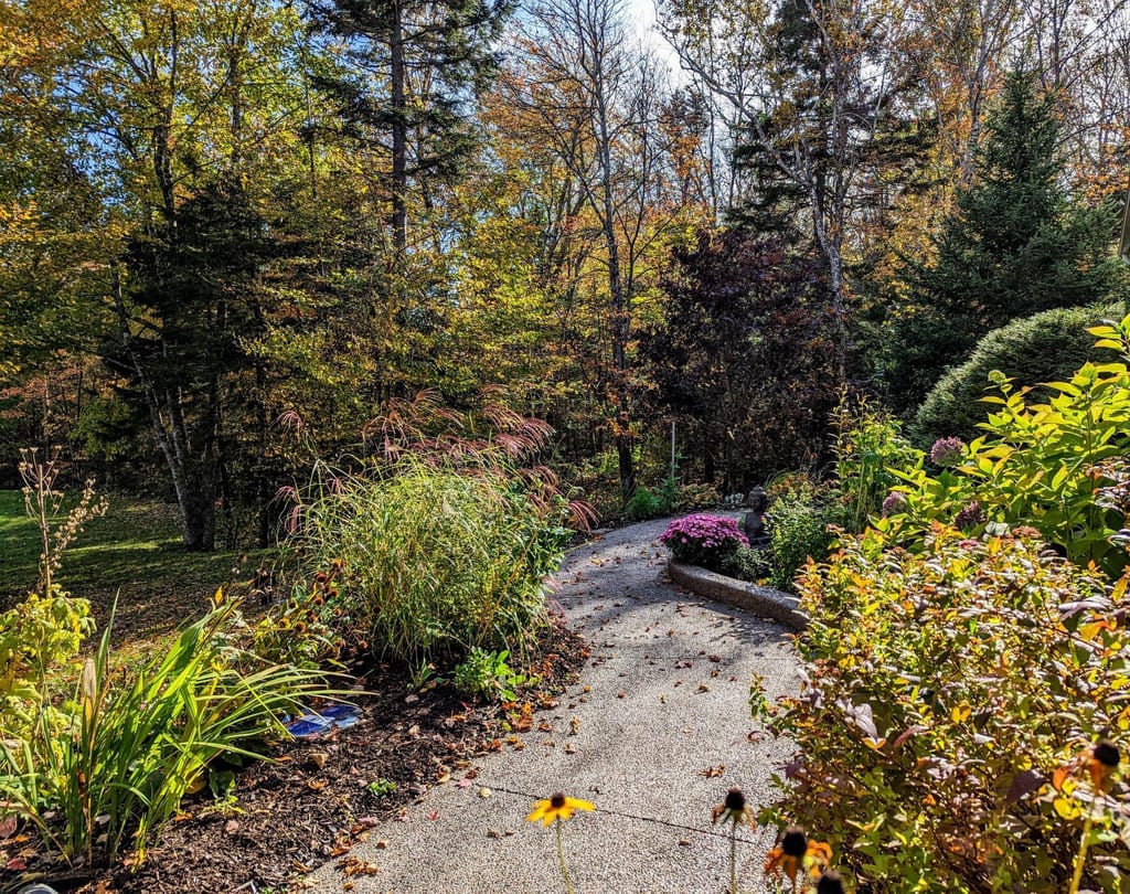 Garden in the fall
