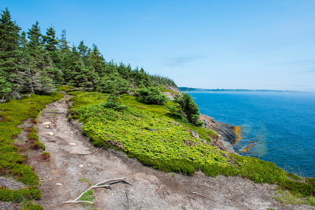 Gaff Point, NS.