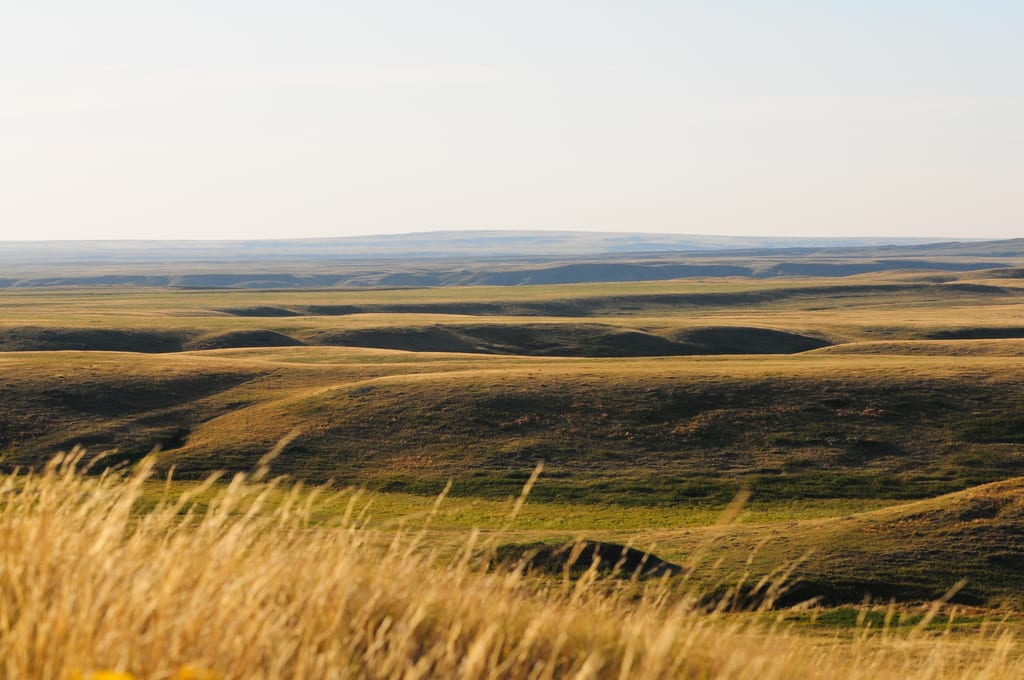 Wideview, SK (Photo Calvin Fehr)