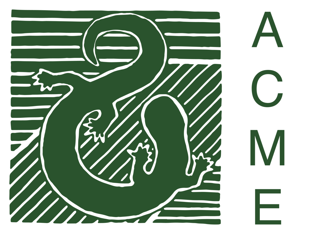A green graphic illustration of a lizard.